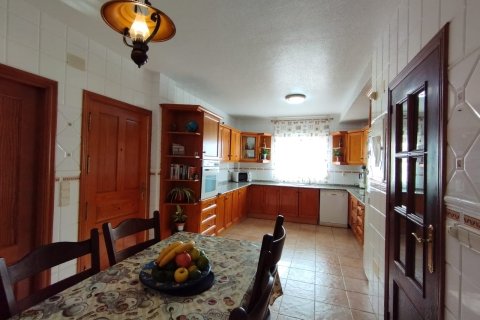 Villa pārdošanā Torrevieja, Alicante, Spānijā 6 istabas, 375 m2 Nr. 139527 - attēls 13