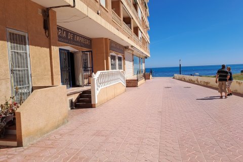 Kommersiell fastighet till salu Torrevieja, Alicante, Spanien Nr. 139530 - foto 1