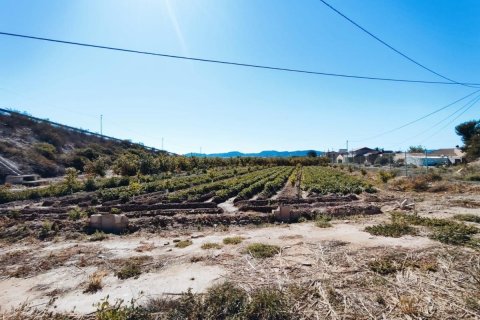 House zum Verkauf in Orihuela, Alicante, Spanien 709 m2 Nr. 183893 - Foto 6