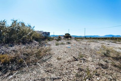 House zum Verkauf in Orihuela, Alicante, Spanien 709 m2 Nr. 183893 - Foto 11