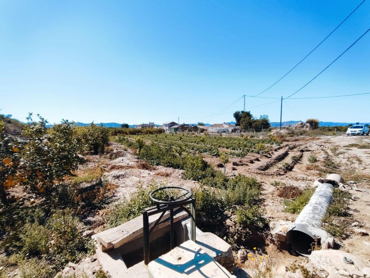 House in Orihuela, Alicante, Spain 709 sq.m. No. 183893