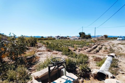 House zum Verkauf in Orihuela, Alicante, Spanien 709 m2 Nr. 183893 - Foto 7