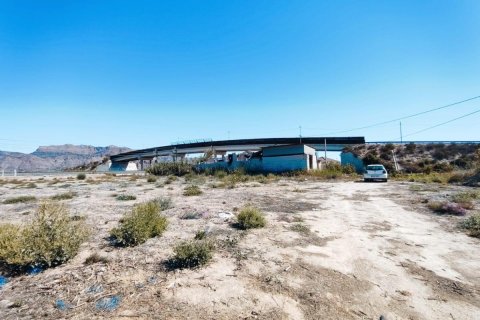 House zum Verkauf in Orihuela, Alicante, Spanien 709 m2 Nr. 183893 - Foto 12