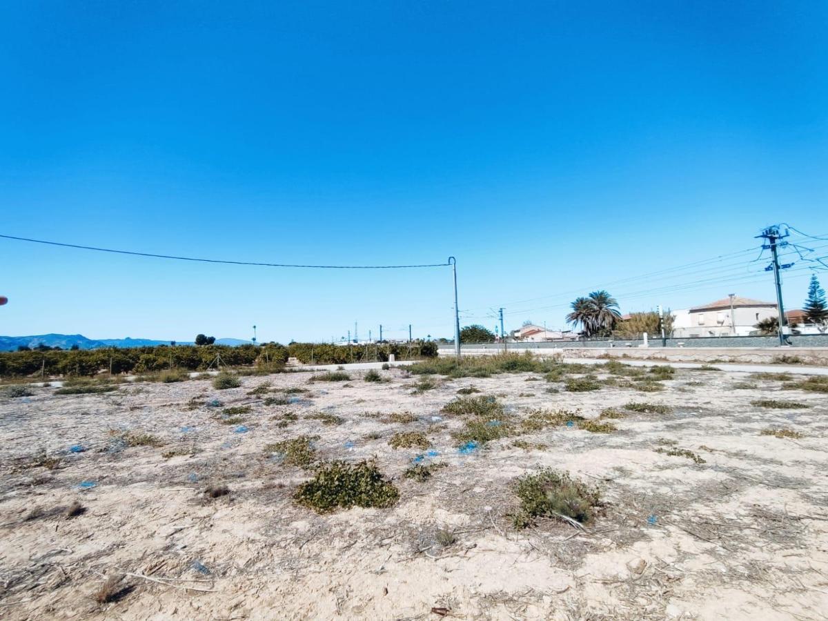 House in Orihuela, Alicante, Spain 709 sq.m. No. 183893