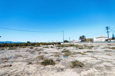 House zum Verkauf in Orihuela, Alicante, Spanien 709 m2 Nr. 183893 - Foto 9