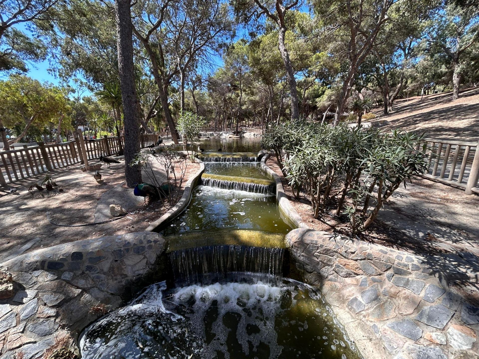 Liikekiinteistö Guardamar del Segura, Alicante, Espanja 83 m2 No. 183895