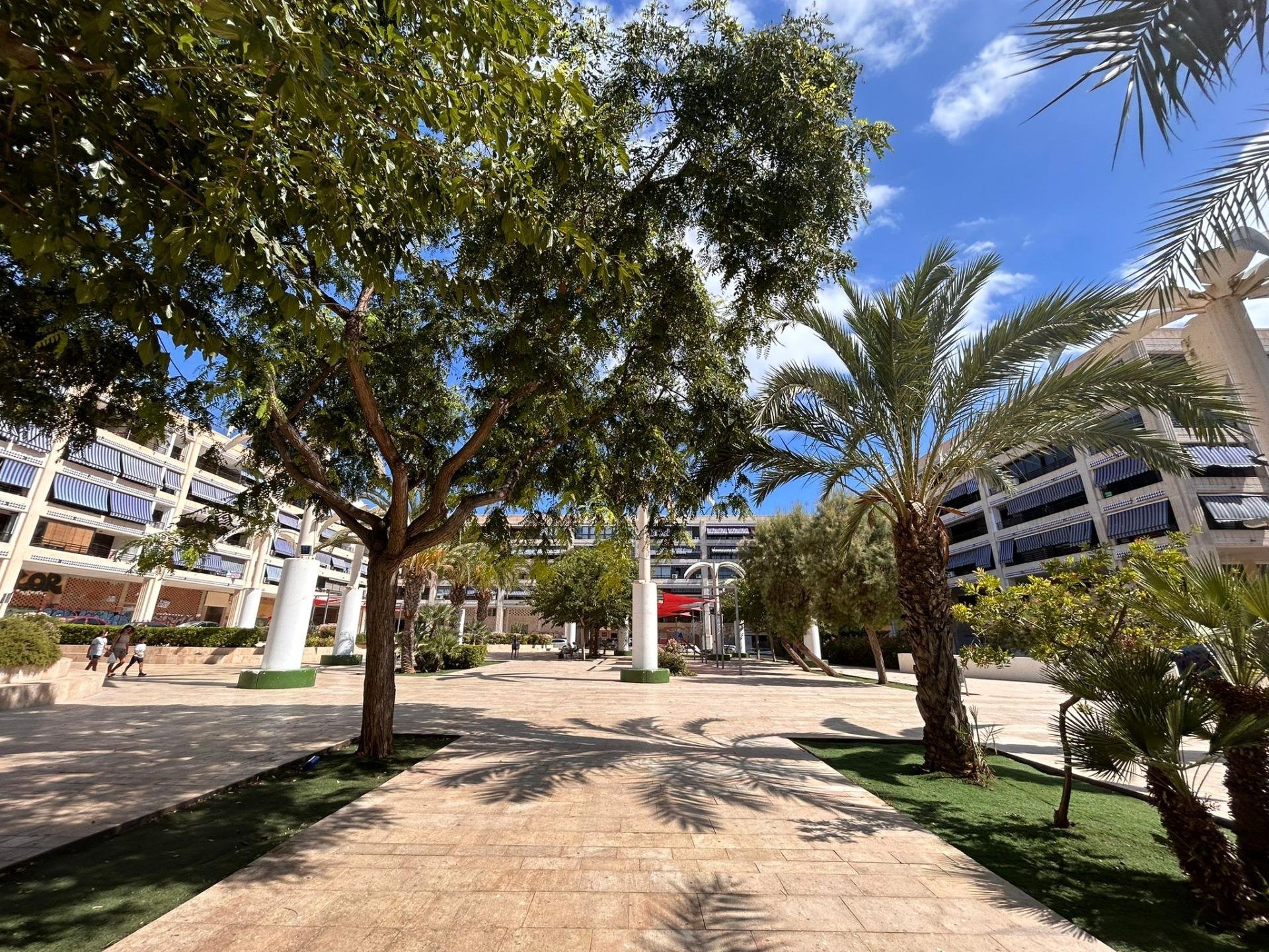 Liikekiinteistö Guardamar del Segura, Alicante, Espanja 83 m2 No. 183895