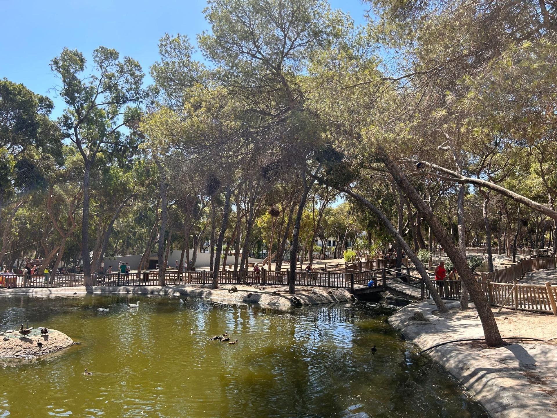 Liikekiinteistö Guardamar del Segura, Alicante, Espanja 83 m2 No. 183895