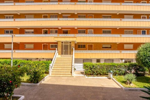 Продажа квартиры в Торревьеха, Аликанте, Испания 3 спальни, 96м2 №183892 - фото 21