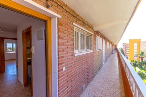 Продажа квартиры в Торревьеха, Аликанте, Испания 3 спальни, 96м2 №183892 - фото 19