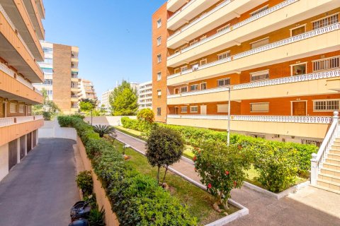 Продажа квартиры в Торревьеха, Аликанте, Испания 3 спальни, 96м2 №183892 - фото 20