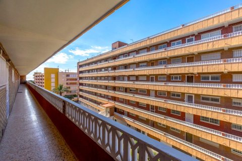 Продажа квартиры в Торревьеха, Аликанте, Испания 3 спальни, 96м2 №183892 - фото 5