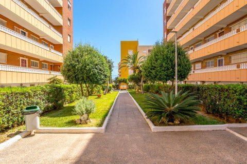 Продажа квартиры в Торревьеха, Аликанте, Испания 3 спальни, 96м2 №183892 - фото 23