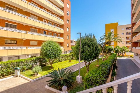 Apartment à Torrevieja, Alicante, Espagne 3 chambres, 96 m2 No. 183892
