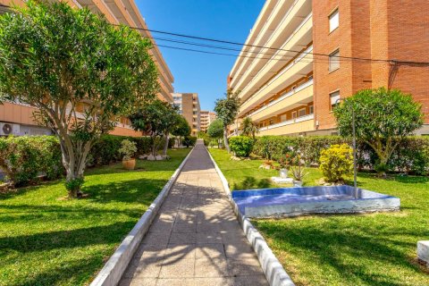 Продажа квартиры в Торревьеха, Аликанте, Испания 3 спальни, 96м2 №183892 - фото 24