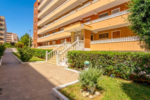 Продажа квартиры в Торревьеха, Аликанте, Испания 3 спальни, 96м2 №183892 - фото 22