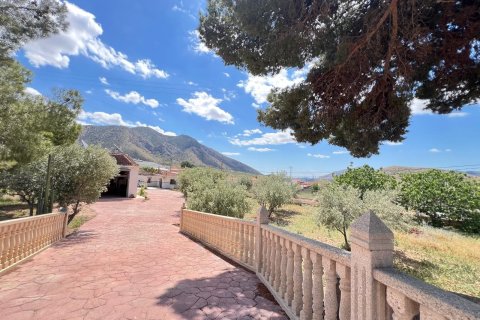 Finca till salu i Alguena, Alicante, Spanien 2 sovrum, 125 kvm. Nr. 189458 - foto 2
