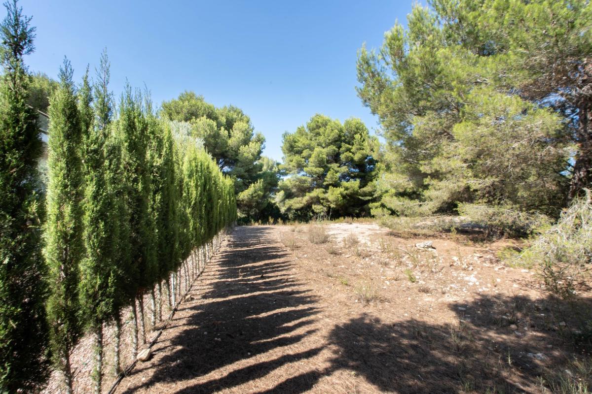 Land plot in Javea, Alicante, Spain No. 80712