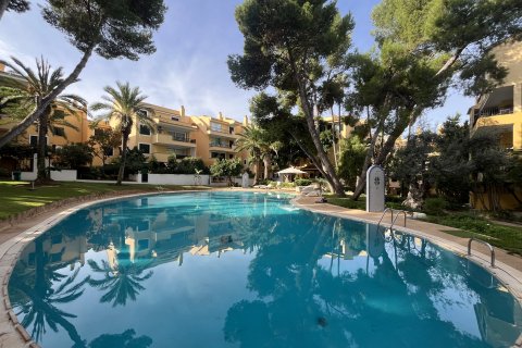 Penthauss pārdošanā Santa Ponsa, Mallorca, Spānijā 3 istabas, 120 m2 Nr. 138483 - attēls 16