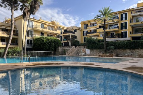 Penthauss pārdošanā Santa Ponsa, Mallorca, Spānijā 3 istabas, 120 m2 Nr. 138483 - attēls 15