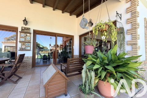 Сasa en venta en Lepe, Huelva, España 3 dormitorios, 363 m2 No. 172741 - foto 11