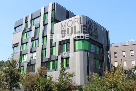 Office in Donostia-San Sebastian, Gipuzkoa, Spain 54.7 sq.m. No. 183246
