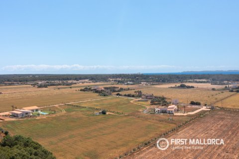 Finca à Sa Rapita, Mallorca, Espagne 7 chambres, 605 m2 No. 194872