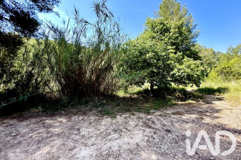 Zemes gabals pārdošanā Lliber, Alicante, Spānijā 19000 m2 Nr. 187928 - attēls 10