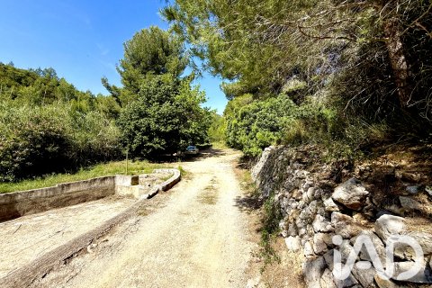 Zemes gabals pārdošanā Lliber, Alicante, Spānijā 19000 m2 Nr. 187928 - attēls 4