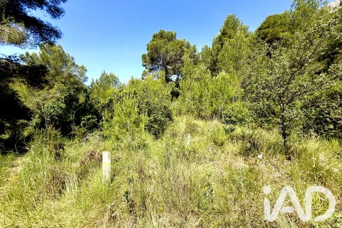 Zemes gabals pārdošanā Lliber, Alicante, Spānijā 19000 m2 Nr. 187928 - attēls 12