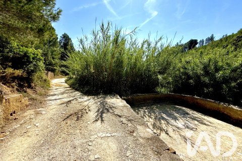 Zemes gabals pārdošanā Lliber, Alicante, Spānijā 19000 m2 Nr. 187928 - attēls 6