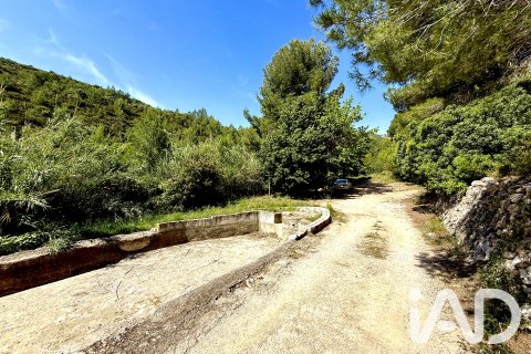 Zemes gabals pārdošanā Lliber, Alicante, Spānijā 19000 m2 Nr. 187928 - attēls 3