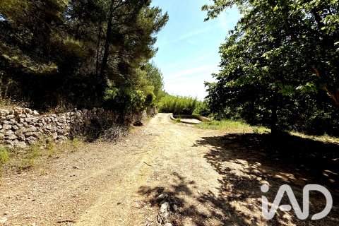 Zemes gabals pārdošanā Lliber, Alicante, Spānijā 19000 m2 Nr. 187928 - attēls 13