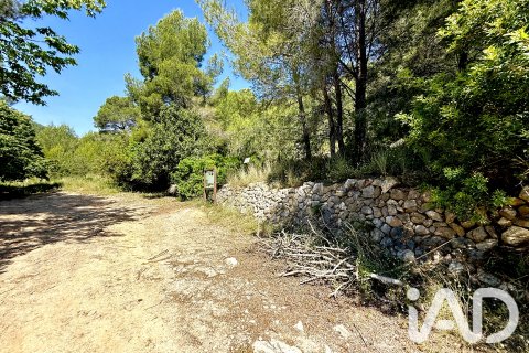 Zemes gabals pārdošanā Lliber, Alicante, Spānijā 19000 m2 Nr. 187928 - attēls 8