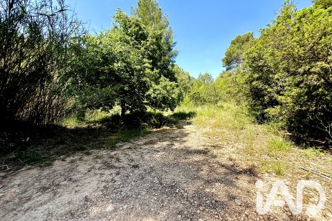 Zemes gabals pārdošanā Lliber, Alicante, Spānijā 19000 m2 Nr. 187928 - attēls 9