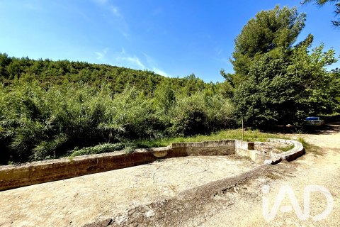 Zemes gabals pārdošanā Lliber, Alicante, Spānijā 19000 m2 Nr. 187928 - attēls 2