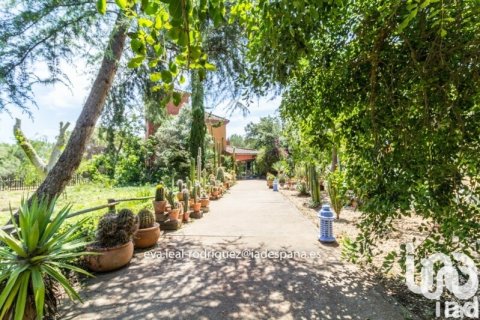 Продажа дома в Лепе, Уэльва, Испания 8 спален, 296м2 №153196 - фото 15