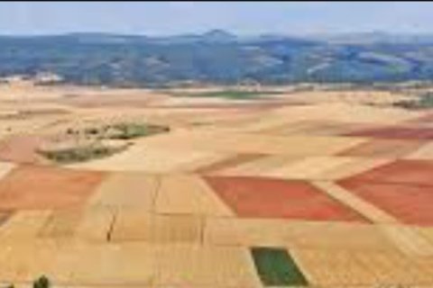 Liikekiinteistö myytävänä Soria, Espanja ,  No. 152639 - kuva 22