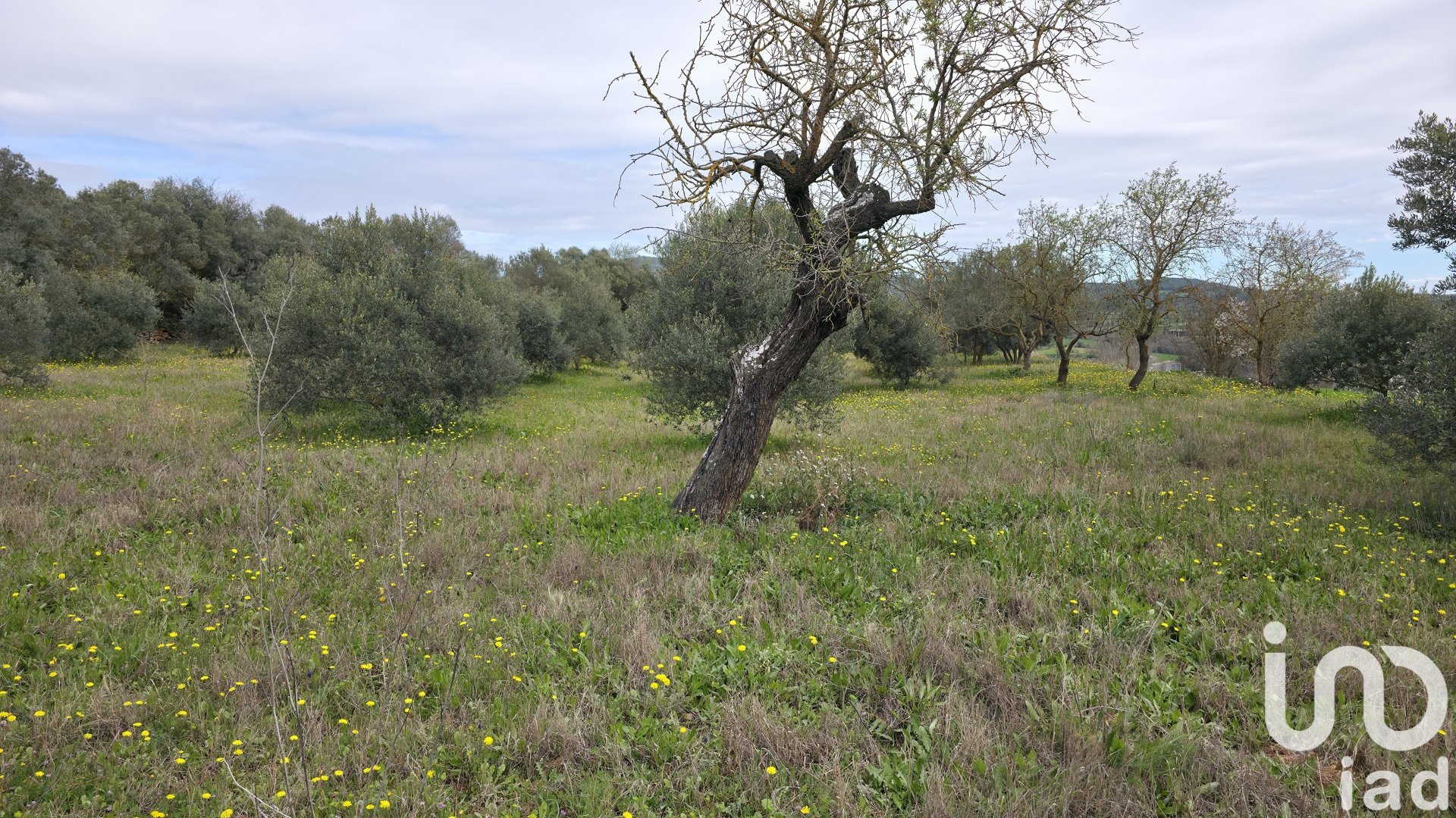 Villa a Lleida, Spagna 7 camere da letto, 367 mq. N° 185845
