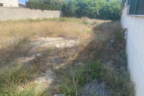 Land zum Verkauf in Alicante, Spanien 252 m2 Nr. 168806 - Foto 7