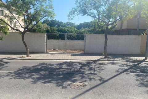 Land zum Verkauf in Alicante, Spanien 252 m2 Nr. 168806 - Foto 4