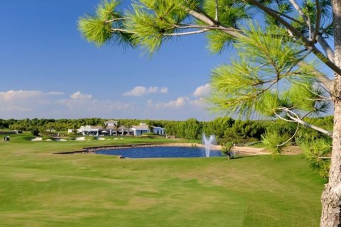 Apartment for sale in Dehesa De Campoamor, Alicante, Spain 3 bedrooms, 133 sq.m. No. 154485 - photo 18