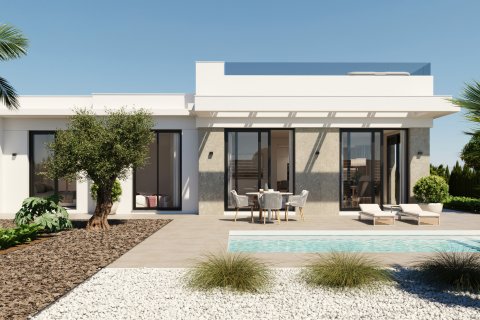 Villa Murcia, Spānijā 3 istabas, 155 m2 Nr. 163702