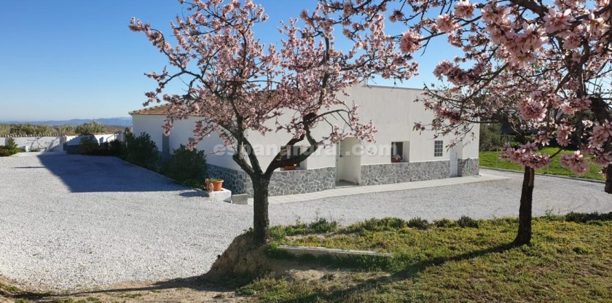 Huvila Oria, Almeria, Espanja 3 makuuhuonetta, 2391 m2 No. 137638