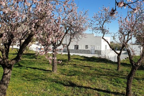 Villa till salu Oria, Almeria, Spanien 3 sovrum, 2391 kvm. Nr. 137638 - foto 29