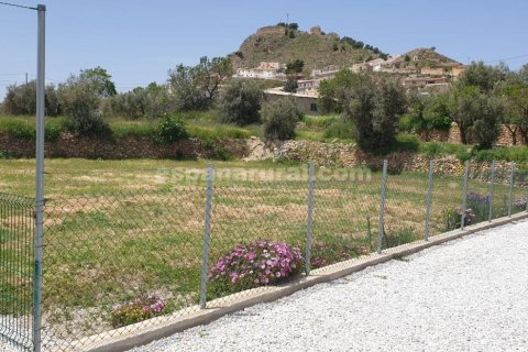 Villa till salu Oria, Almeria, Spanien 3 sovrum, 2391 kvm. Nr. 137638 - foto 27