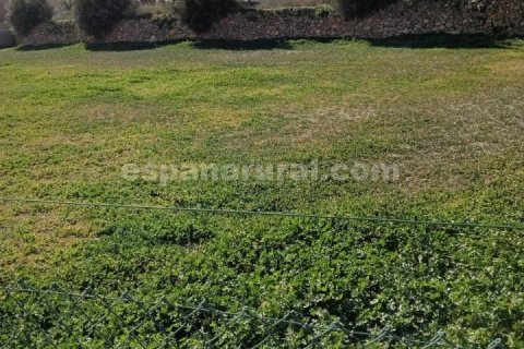 Villa till salu Oria, Almeria, Spanien 3 sovrum, 2391 kvm. Nr. 137638 - foto 28