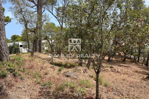 Land plot for sale in Llafranc, Girona, Spain 1530 sq.m. No. 177167 - photo 3