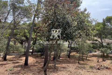 Land plot for sale in Llafranc, Girona, Spain 1530 sq.m. No. 177167 - photo 4