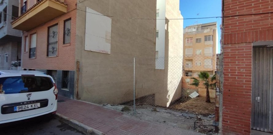 Land in Guardamar del Segura, Alicante, Spanien Nr. 183798